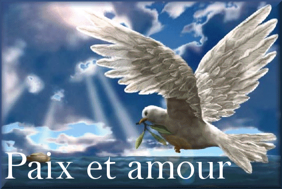 Photo de Vœux du Père B. du 31/12/2025
